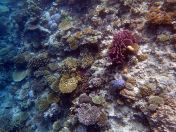 095.jpeg - 2018:09:11 22:37:30