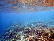 096.jpeg - 2018:09:11 22:37:55