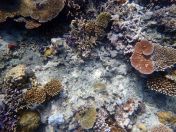 097.jpeg - 2018:09:11 22:38:10