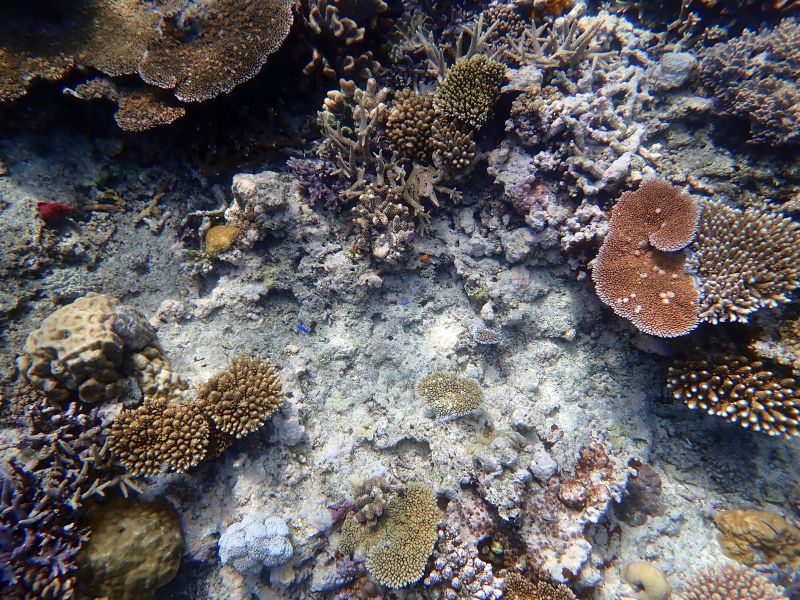 Viewing photos→2018→2018-09-12→097