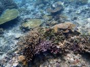 098.jpeg - 2018:09:11 22:38:14