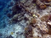 099.jpeg - 2018:09:11 22:38:23