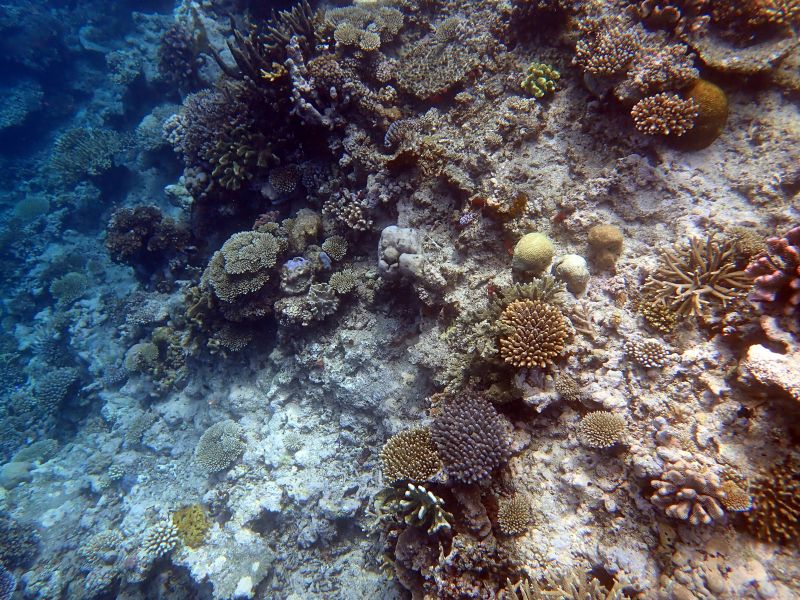 Viewing photos→2018→2018-09-12→099