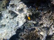 100.jpeg - 2018:09:11 22:41:09