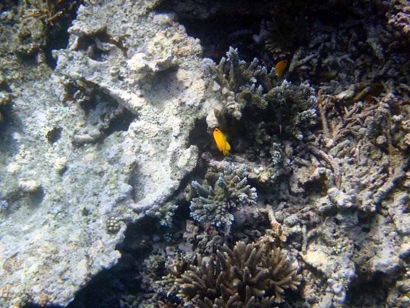 Viewing photos→2018→2018-09-12→100