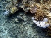 101.jpeg - 2018:09:11 22:43:02