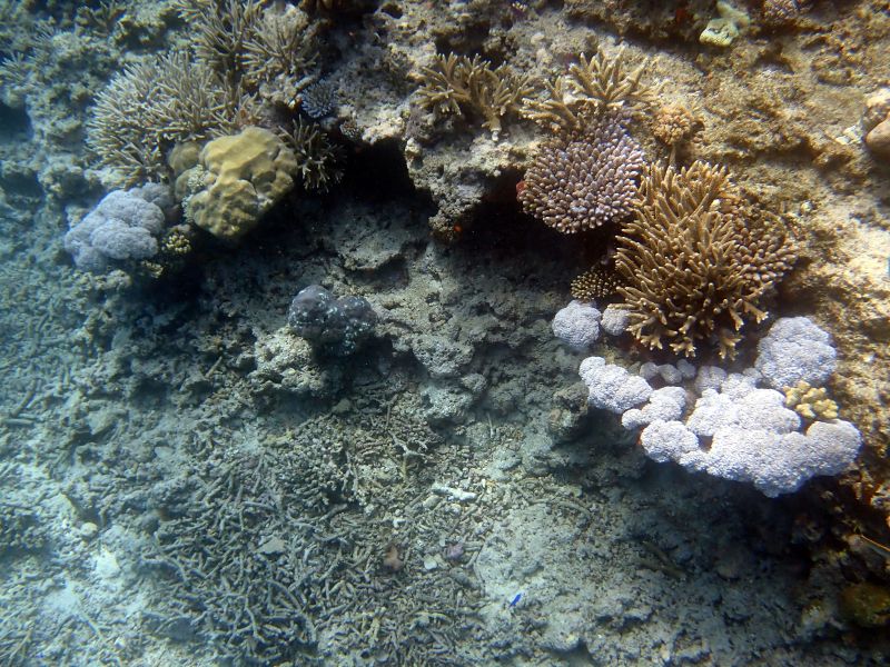 Viewing photos→2018→2018-09-12→101