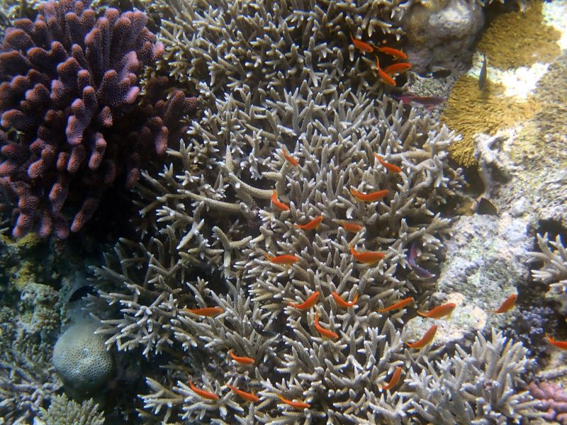 Viewing photos→2018→2018-09-12→102