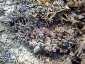 103.jpeg - 2018:09:11 22:43:28