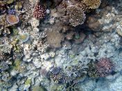 104.jpeg - 2018:09:11 22:43:37