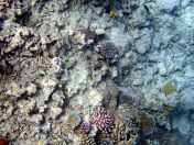 105.jpeg - 2018:09:11 22:43:39