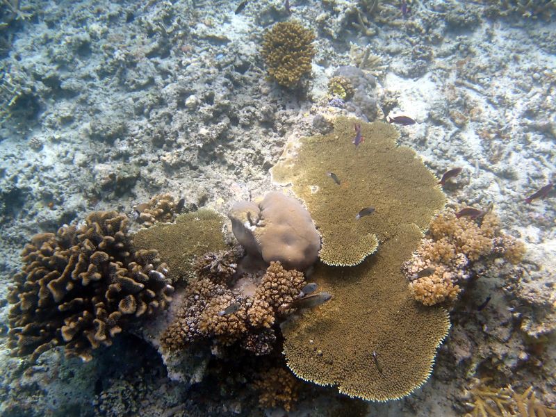 Viewing photos→2018→2018-09-12→106