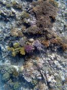 107.jpeg - 2018:09:11 22:44:12