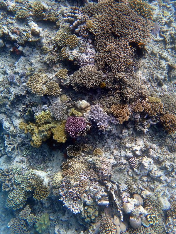 Viewing photos→2018→2018-09-12→107