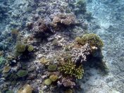 108.jpeg - 2018:09:11 22:44:42