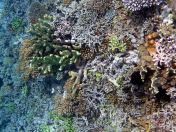 109.jpeg - 2018:09:11 22:45:15