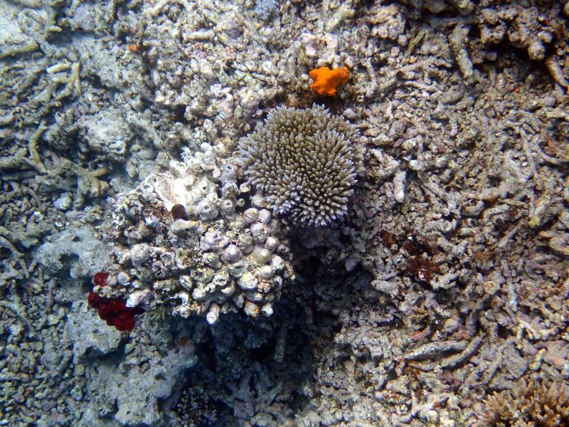 Viewing photos→2018→2018-09-12→110