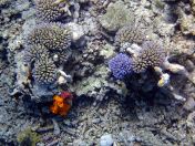 111.jpeg - 2018:09:11 22:45:45