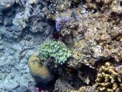 112.jpeg - 2018:09:11 22:45:57