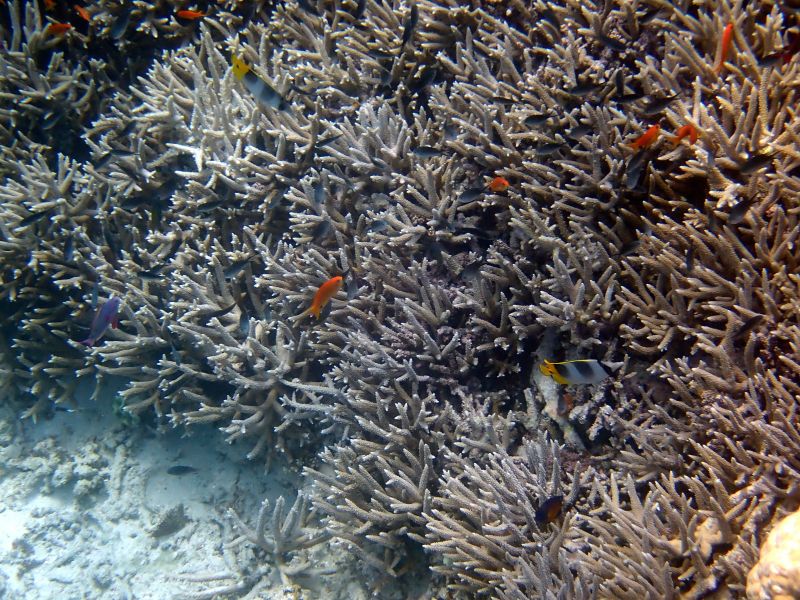 Viewing photos→2018→2018-09-12→113