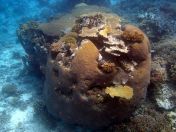 115.jpeg - 2018:09:11 22:46:26