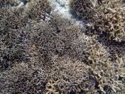 116.jpeg - 2018:09:11 22:46:45