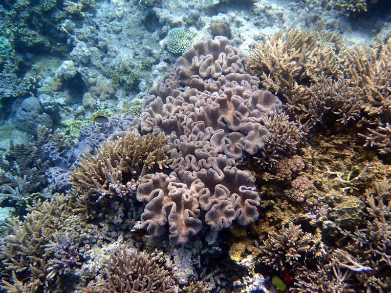 Viewing photos→2018→2018-09-12→117