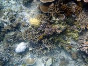 118.jpeg - 2018:09:11 22:47:03