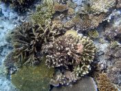 119.jpeg - 2018:09:11 22:47:10