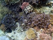 120.jpeg - 2018:09:11 22:47:37