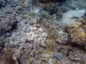 122.jpeg - 2018:09:11 22:48:42