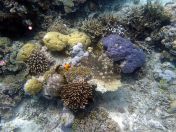 123.jpeg - 2018:09:11 22:49:00