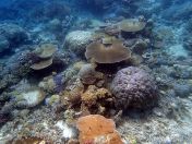 124.jpeg - 2018:09:11 22:49:09