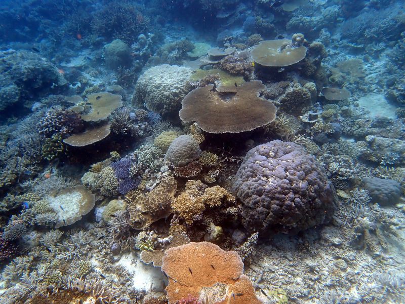 Viewing photos→2018→2018-09-12→124