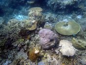 125.jpeg - 2018:09:11 22:49:23