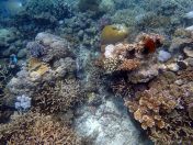 126.jpeg - 2018:09:11 22:49:46