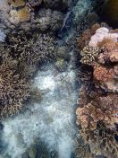 127.jpeg - Wed Sep 12 00:49:52 2018