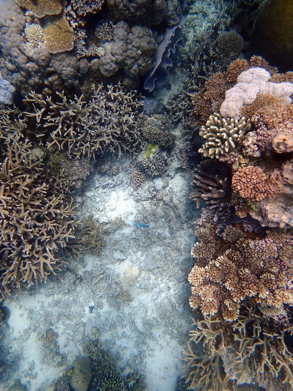 Viewing photos→2018→2018-09-12→127