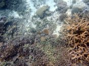 128.jpeg - 2018:09:11 22:50:07