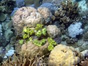 129.jpeg - 2018:09:11 22:50:22