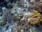 130.jpeg - 2018:09:11 22:51:06