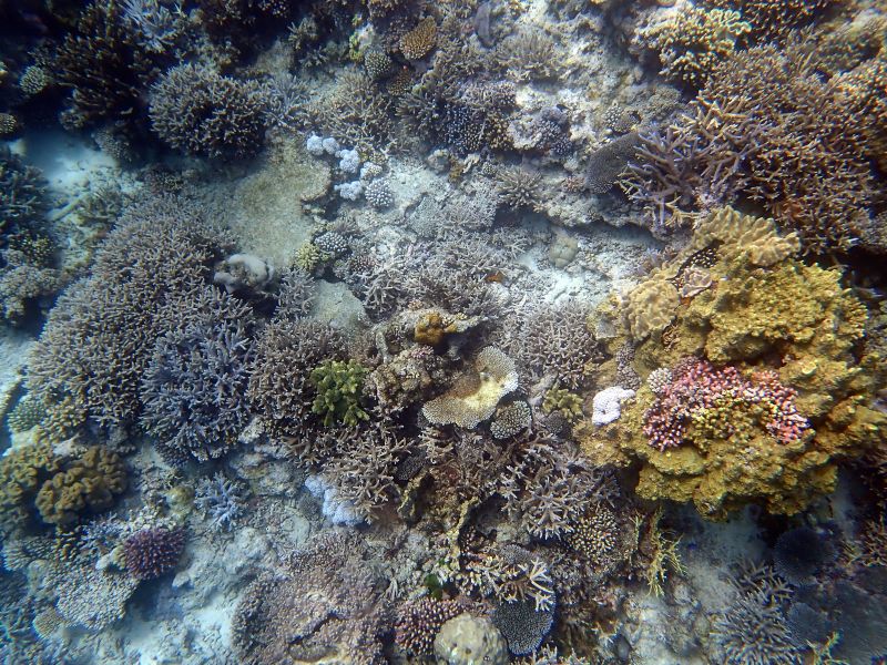 Viewing photos→2018→2018-09-12→130