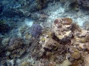 131.jpeg - 2018:09:11 22:51:26