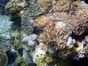 132.jpeg - 2018:09:11 22:54:00