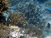 133.jpeg - 2018:09:11 22:57:13