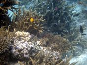 134.jpeg - 2018:09:11 22:57:14