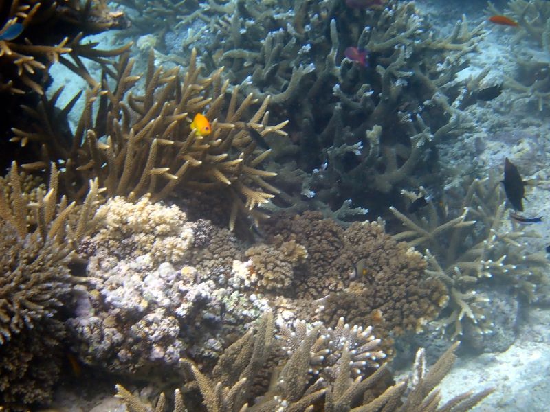 Viewing photos→2018→2018-09-12→134