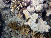 137.jpeg - 2018:09:11 22:58:55