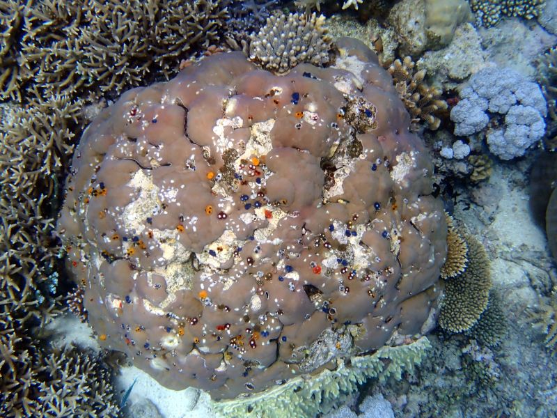 Viewing photos→2018→2018-09-12→138