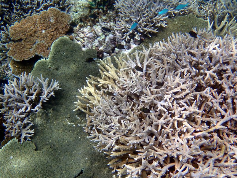 Viewing photos→2018→2018-09-12→139